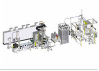 Çin Endüstriyel Plastik Levha Ekstrüzyon Makine PVDF Floroplastik Tek Katmanlı Levha Ekstrüzyon Hattı şirket